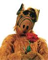 ALF-Geburtstag.jpg