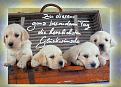 Hundegrüße.jpg