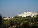 8h OSTUNI