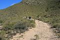 IMG 10