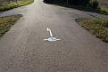 Es wird viel gemacht, daß sich niemand auf dem "Elberadweg" verfährt... Wir haben es trotzdem geschafft und 10 km zusätzlich in Dessau verballert.