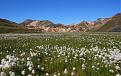 Woche3 - Landmannalaugar