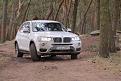 ...im Wald und ohne Heidi...