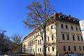 Der älteste Gingko