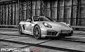 BOXSTER GTS 981